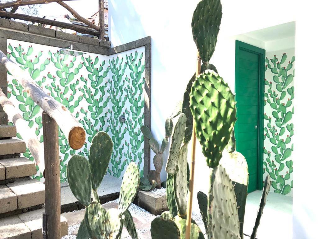 Casa Lucia Panzió Sorrento Kültér fotó
